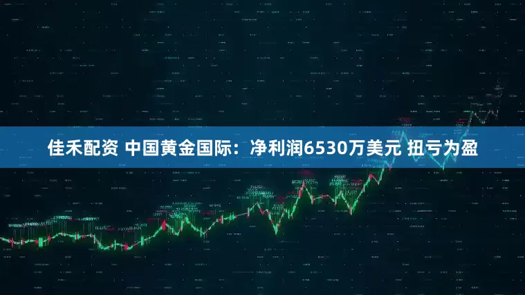佳禾配资 中国黄金国际：净利润6530万美元 扭亏为盈