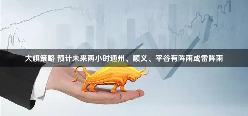 大旗策略 预计未来两小时通州、顺义、平谷有阵雨或雷阵雨