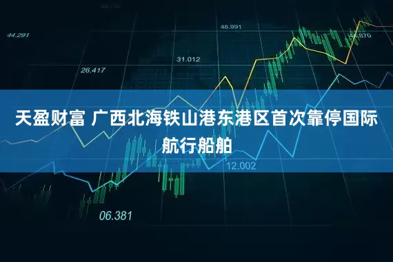 天盈财富 广西北海铁山港东港区首次靠停国际航行船舶